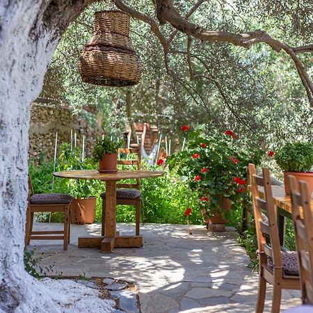 Ándros Small Paradise מראה חיצוני תמונה