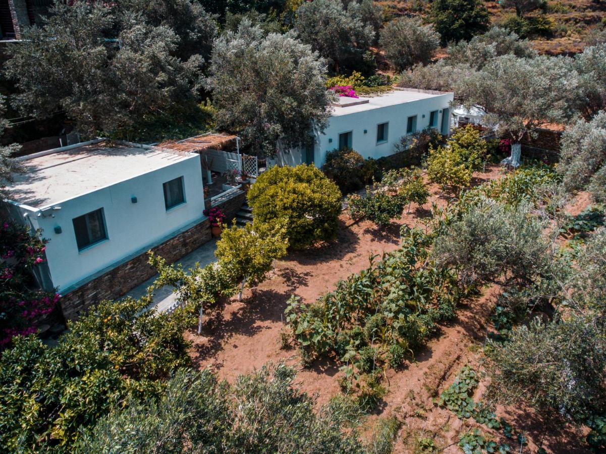 Ándros Small Paradise מראה חיצוני תמונה